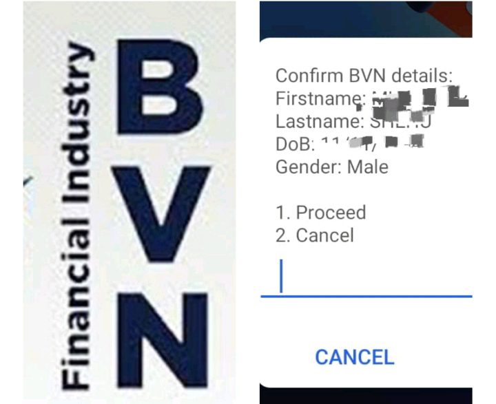 How To Check your BVN Date of Birth for free with USSD 