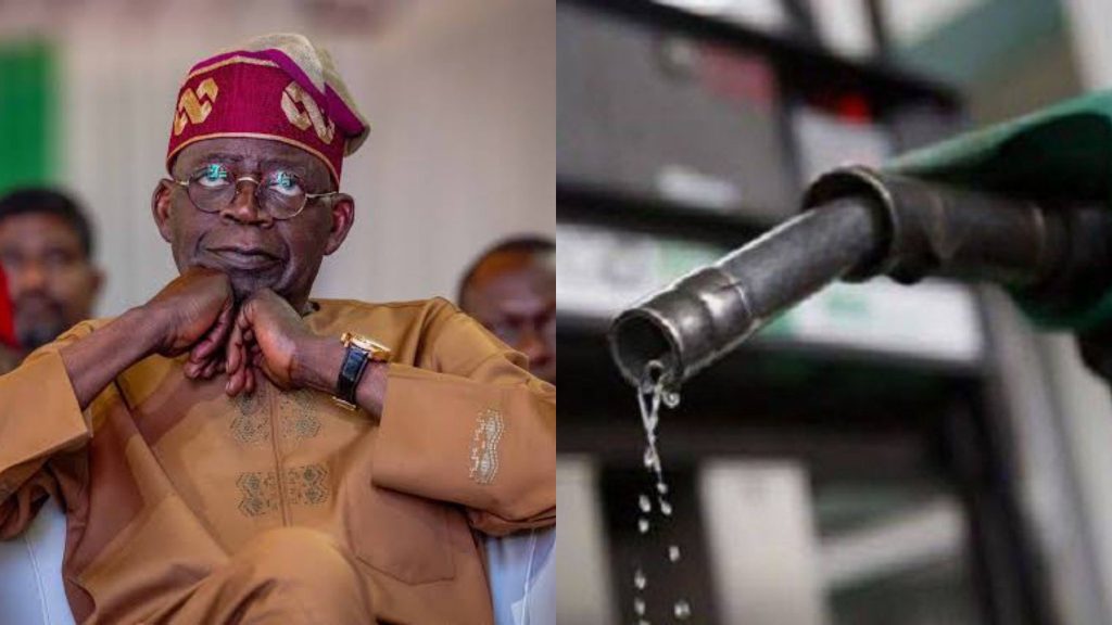 URGENT: Fuel Purchase Drops by Half! IPMAN Pleads with Tinubu to Slash Pump Prices