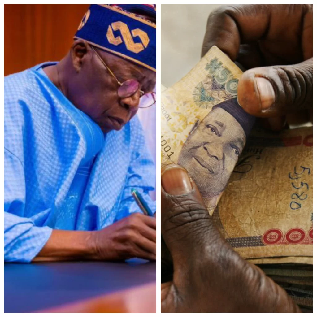 FG to Distribute N8,000 Monthly for 6 Months to 12 Million Nigerians, Says President Tinubu