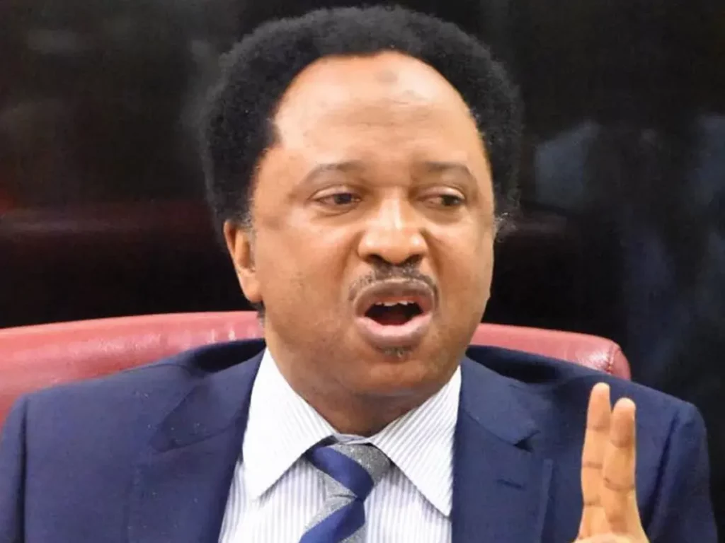 Shehu Sani Supports Gov. Soludo's Call for Proper Checks on Palliative Funds, Warns of Possible Diversion by State Governors