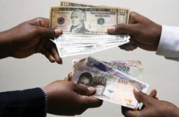 Breaking: Dollar to Naira Exchange Rate Update – November 28, 2023