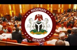 Nigerian Senator Reveals How FG Capitalizes on Dollar-to-Naira Hike for Revenue Boost