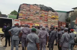 FG Reveals Requirement for Food Distribution To Alleviate Hardship