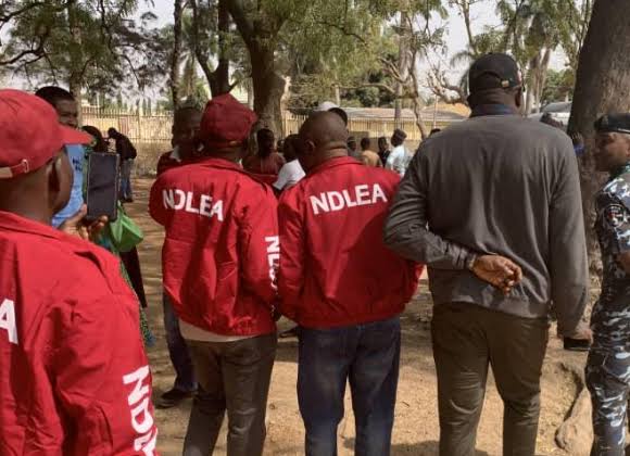 NDLEA Arrests 42-Year-Old Man Supplying Drugs to Terrorists in Borno