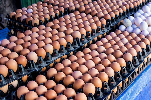 Price of Egg Per Crate in Nigeria Today 5th April 2024