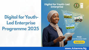 Apply Now: UNDP Nigeria Launches Digital for Youth-Led Enterprise Programme 2025 (Fully Funded)