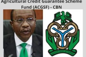 How to Apply for the CBN Agricultural Credit Guarantee Scheme Fund in Nigeria